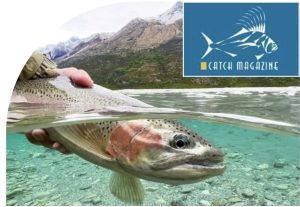 someone holding a fish near the surface of the water